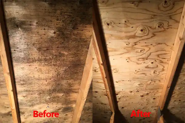 water damage restoration service West Point